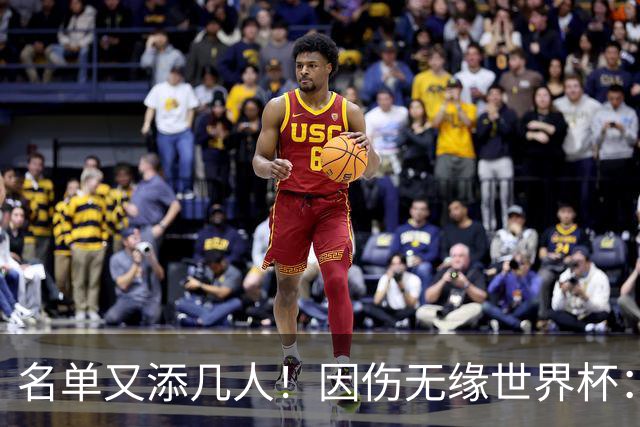 名单又添几人！因伤无缘世界杯：廷伯、巴列尔迪，卡尔、韦斯利..